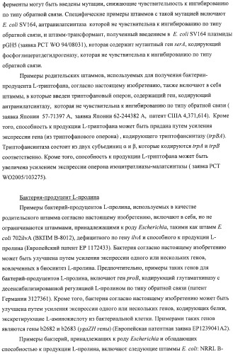 Способ получения l-аминокислот с использованием бактерии, принадлежащей к роду escherichia, в которой инактивирован один или несколько генов, кодирующих малые рнк (патент 2395567)