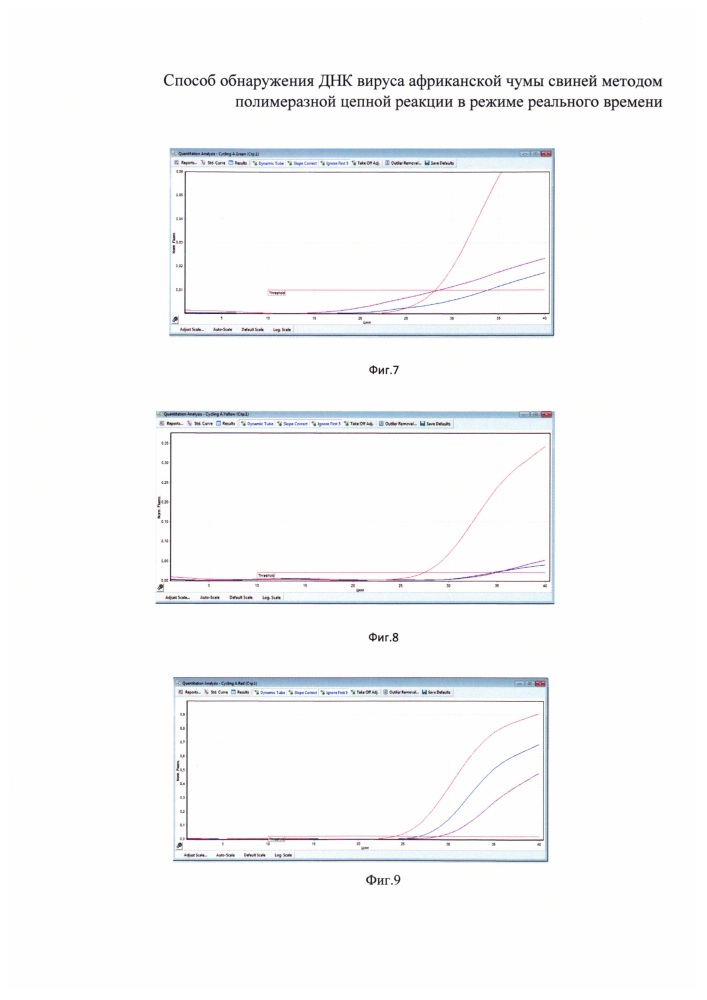 Способ обнаружения днк вируса африканской чумы свиней методом полимеразной цепной реакции в режиме реального времени (патент 2645262)