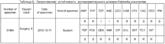 Фармацевтическая композиция, содержащая экстракт жимолости и антибиотик, фармацевтический набор и применение экстракта жимолости для получения лекарственных препаратов (патент 2571281)