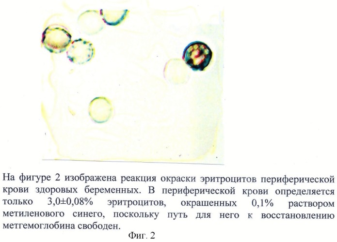 Способ оценки индуцирующего действия цитомегаловирусной инфекции на содержание метгемоглобина в эритроцитах периферической крови беременных на третьем триместре гестации (патент 2499260)