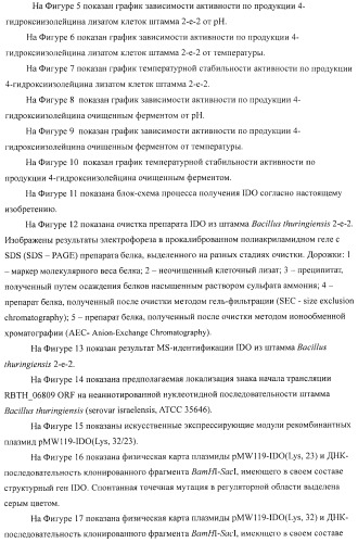 Способ продукции 4-гидрокси-l-изолейцина (патент 2402608)