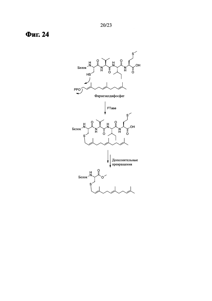 Конъюгаты белок-активное вещество и способ их получения (патент 2613906)