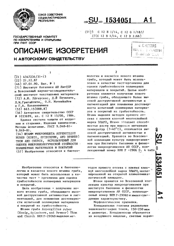 Штамм микромицета aspergillus ruвеr konig, sрiескеrм, and вrемеr тном and снurсн, используемый для оценки микробиологической стойкости полимерных материалов и покрытий (патент 1534051)