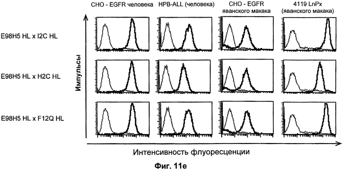 Cd3-эпсилон-связывающий домен с межвидовой специфичностью (патент 2561457)