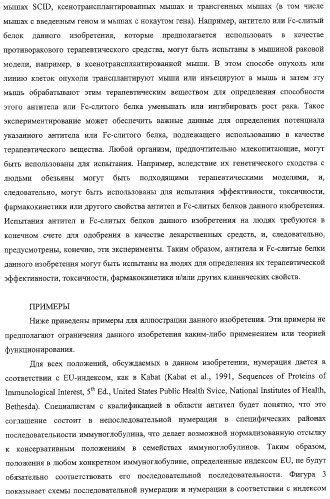 Антитело, содержащее fc-вариантную часть (варианты), фармацевтическая композиция, содержащая антитело, и способ лечения млекопитающего (патент 2325186)