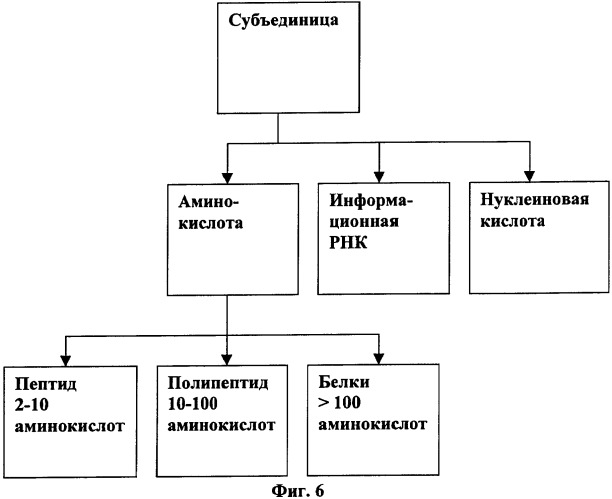 Иммуногенная композиция и способ разработки вакцины, основанной на участках связывания фактора н (патент 2364413)