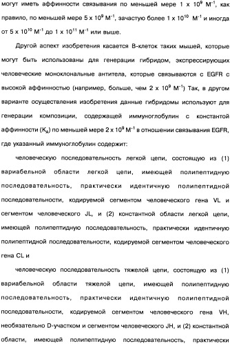 Человеческие моноклональные антитела к рецептору эпидермального фактора роста (egfr), способ их получения и их использование, гибридома, трансфектома, трансгенное животное, экспрессионный вектор (патент 2335507)