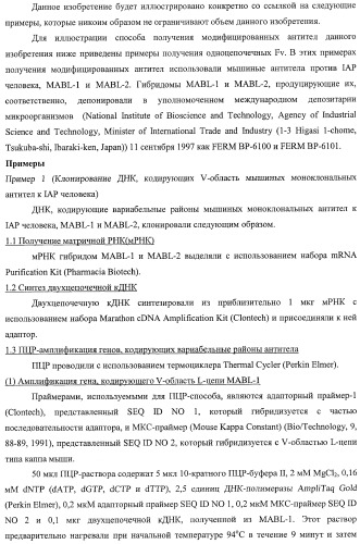 Агонистическое соединение, способное специфически узнавать и поперечно сшивать молекулу клеточной поверхности или внутриклеточную молекулу (патент 2430927)