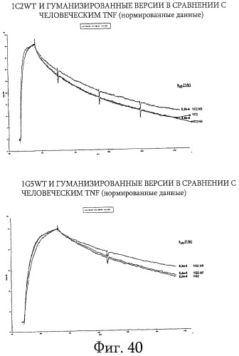 Улучшенные нанотела против фактора некроза опухоли-альфа (патент 2464276)