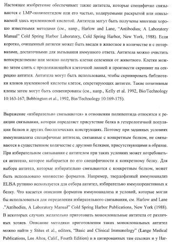 Молекулы нуклеиновых кислот, кодирующие wrinkled1-подобные полипептиды, и способы их применения в растениях (патент 2385347)