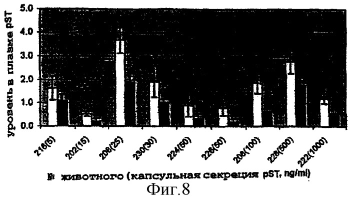 Капсула для имплантации и способ введения соматотропина свинье (патент 2268940)