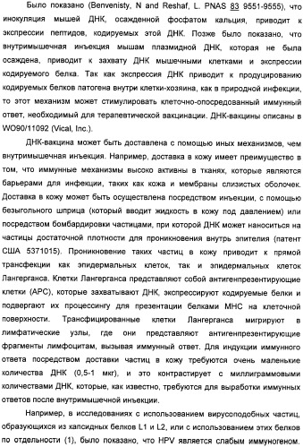 Полинуклеотидная последовательность, кодирующая полипептид вируса папилломы человека, ее применение, а также содержащие ее вектор и фармацевтическая композиция (патент 2354701)