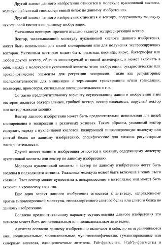 Гипоаллергенный слитый белок, молекула нуклеиновой кислоты, кодирующая его, вектор экспрессии, клетка-хозяин, вакцинная композиция и его применение (патент 2486206)