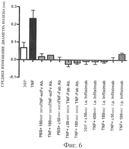 Стабильные и растворимые антитела, ингибирующие tnf  (патент 2415151)