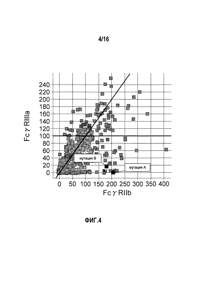 Fcγriib-специфичное fc-антитело (патент 2608504)