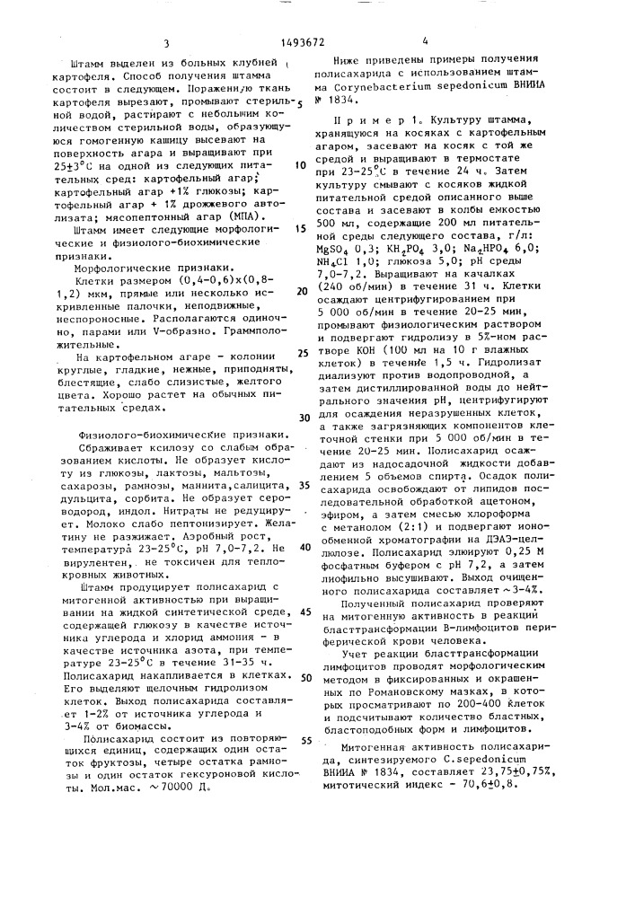 Штамм бактерий соrynевастеriuм sереdоniсuм - продуцент полисахарида, обладающего митогенной активностью (патент 1493672)