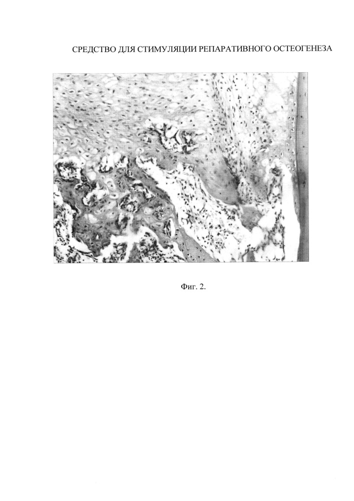 Средство для стимуляции репаративного остеогенеза (патент 2606257)