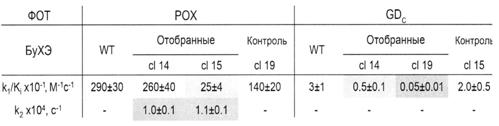 Способ ультравысокопроизводительного скрининга клеток или микроорганизмов и средство для ультравысокопроизводительного скрининга клеток или микроорганизмов (патент 2656216)