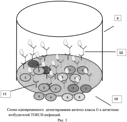 Способ одновременного детектирования антител класса g к антигенам возбудителей torch-инфекций с использованием иммуночипа (патент 2545792)