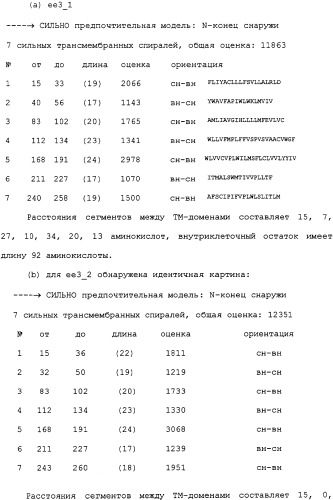 Ее3-семейство белков и соответствующие днк-последовательности (патент 2333918)