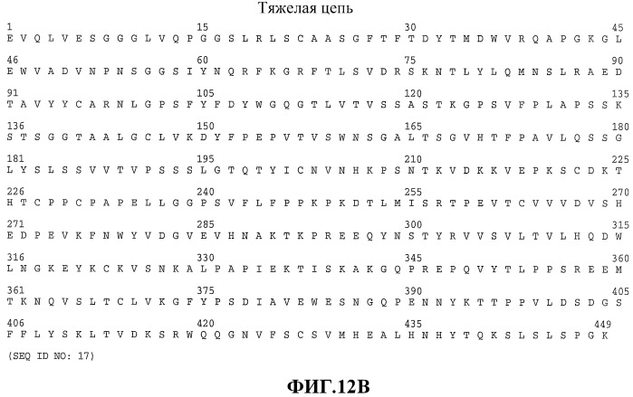Терапия злокачественной опухоли, резистентной к препаратам на основе платины (патент 2403065)
