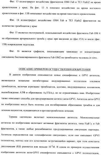 Антитела к гликопротеину vi и способы продуцирования и использования этих антител (патент 2407752)