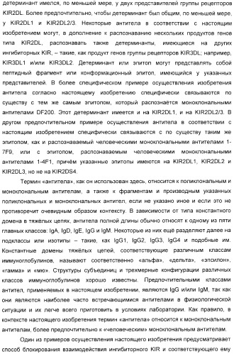 Антитела, связывающиеся с рецепторами kir2dl1,-2,-3 и не связывающиеся с рецептором kir2ds4, и их терапевтическое применение (патент 2410396)