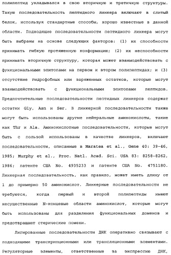 Способы лечения болезни альцгеймера с использованием антител, направленных против пептида амилоида-бета, и их композиций (патент 2353389)