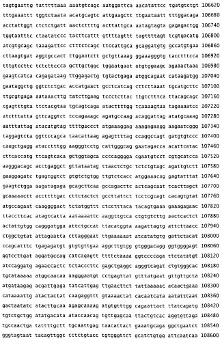 Применение s1p (патент 2362565)