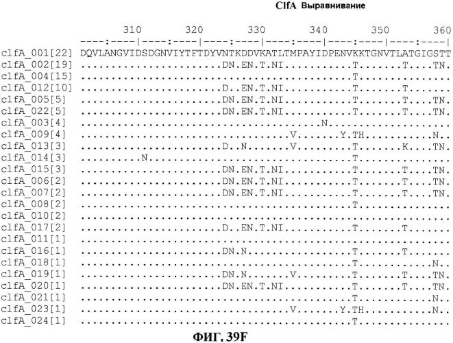 Стабильные иммуногенные композиции антигенов staphylococcus aureus (патент 2570730)