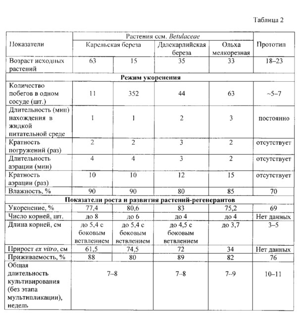 Способ клонального микроразмножения растений сем. betulaceae (патент 2627194)