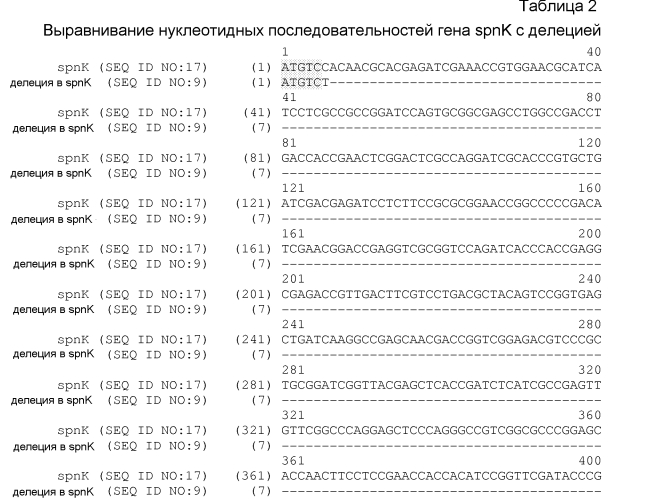Штаммы spnk (патент 2580015)