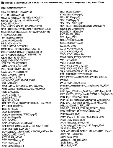 Топливные композиции, содержащие производные изопрена (патент 2531623)
