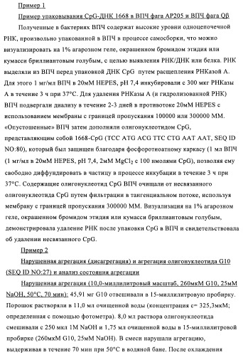 Упакованные иммуностимулирующей нуклеиновой кислотой частицы, предназначенные для лечения гиперчувствительности (патент 2451523)