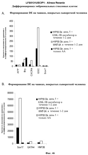 Дифференцировка эмбриональных стволовых клеток человека (патент 2465323)