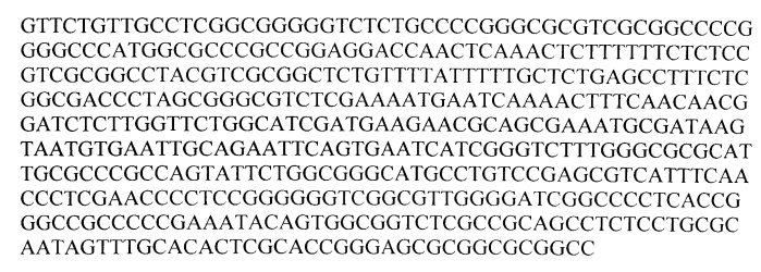 Штамм trichoderma citrinoviride bissett - продуцент антибиотиков-пептаиболов с антигрибной и антибактериальной активностью (патент 2564577)