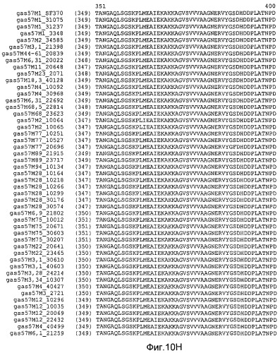 Мутантные антигены gas57 и антитела против gas57 (патент 2471497)