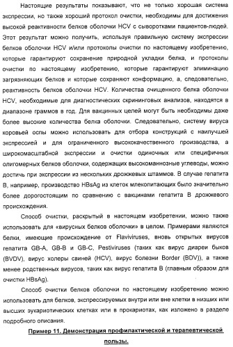 Очищенные белки оболочки вируса гепатита с для диагностического и терапевтического применения (патент 2313363)