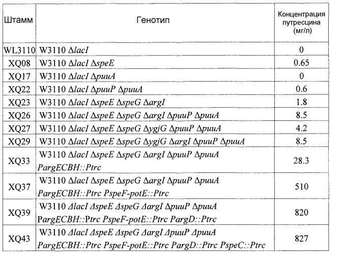 Микроорганизм, обладающий способностью к продукции путресцина в высокой концентрации, способ получения этого микроорганизма и способ продукции путресцина с использованием этого микроорганизма (патент 2433180)