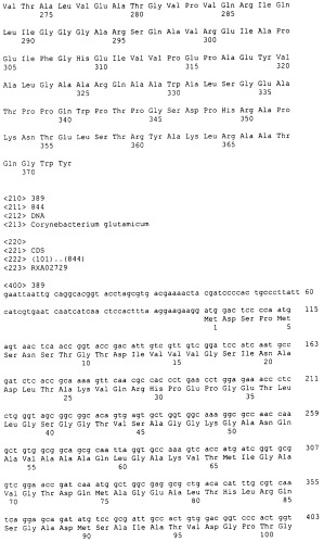 Гены corynebacterium glutamicum, кодирующие белки, участвующие в метаболизме углерода и продуцировании энергии (патент 2310686)