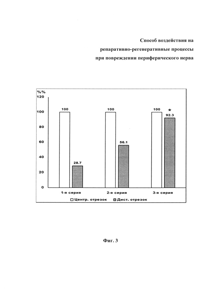 Способ воздействия на репаративно-регенеративные процессы при повреждении периферического нерва (патент 2636904)