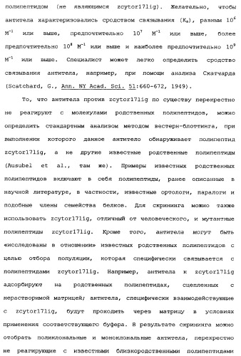 Новый лиганд рецептора цитокина zcytor17 (патент 2360923)
