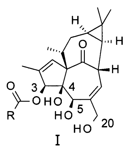 Ингенол-3-ацилаты iii и ингенол-3-карбаматы (патент 2572549)