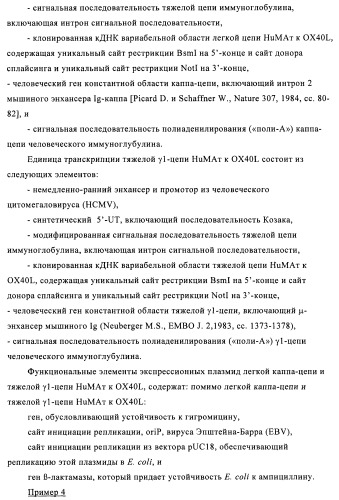 Антитела к ox40l (патент 2423383)