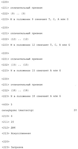 Полипептиды, обладающие протеазной активностью, и нуклеиновые кислоты, кодирующие указанные полипептиды (патент 2318018)