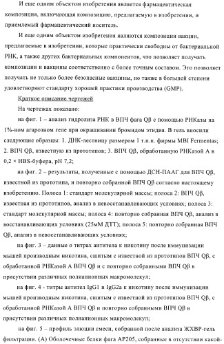 Конъюгаты впч-антиген и их применение в качестве вакцин (патент 2417793)