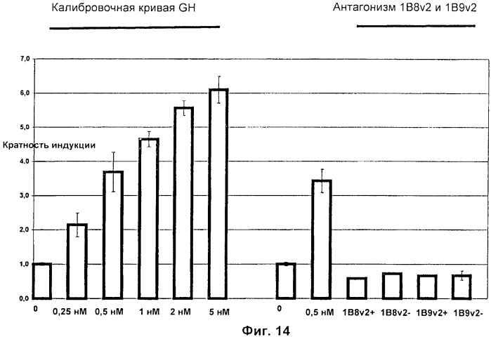 Полипептиды модифицированного гормона роста (патент 2471808)