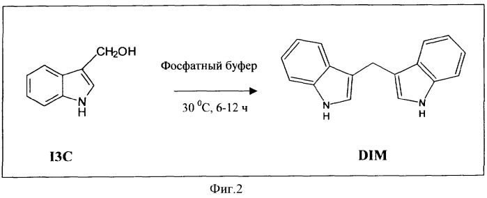 Способ получения 3,3&#39;-дииндолилметана (dim) (патент 2350601)