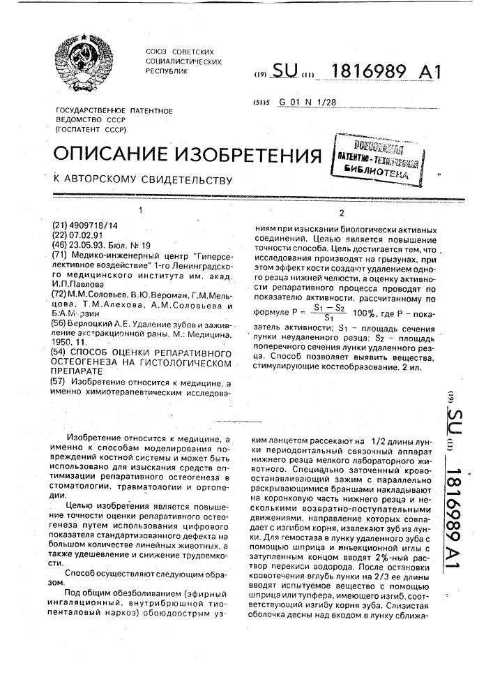 Способ оценки репаративного остеогенеза на гистологическом препарате (патент 1816989)