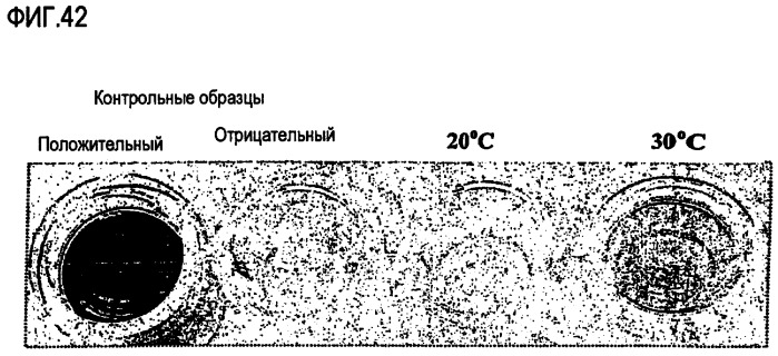 Ферментативная обработка масел (патент 2377307)